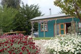 Cottage in spring