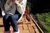 Friendly weka